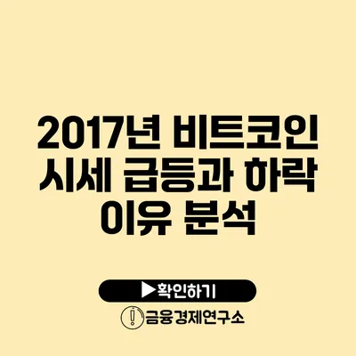 2017년 비트코인 시세 급등과 하락 이유 분석