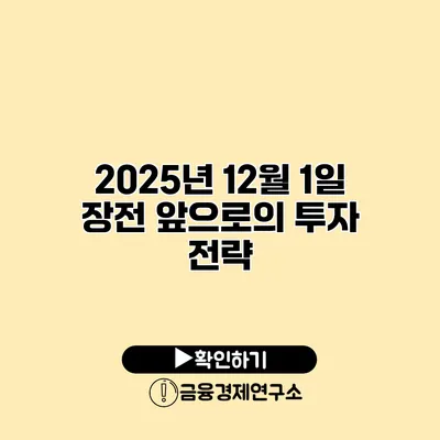 2025년 12월 1일 장전 앞으로의 투자 전략