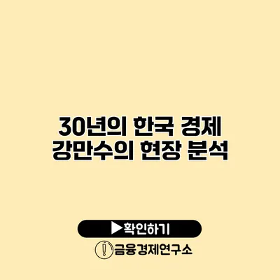 30년의 한국 경제 강만수의 현장 분석