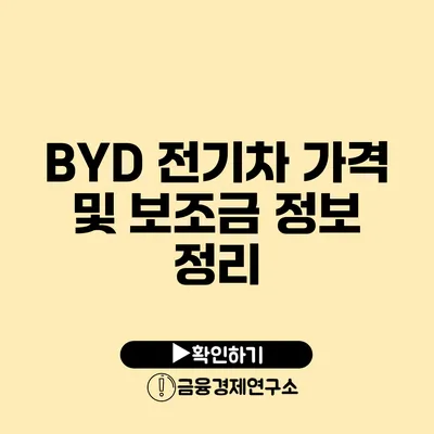 BYD 전기차 가격 및 보조금 정보 정리