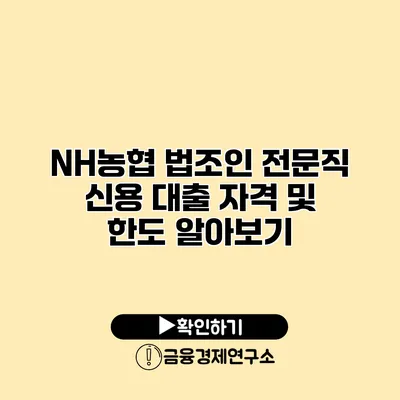 NH농협 법조인 전문직 신용 대출 자격 및 한도 알아보기