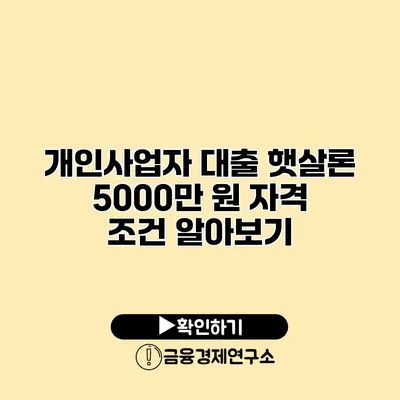 개인사업자 대출 햇살론 5000만 원 자격 조건 알아보기