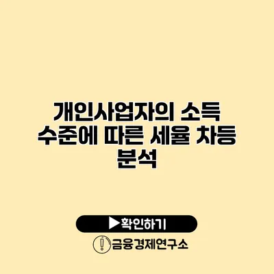 개인사업자의 소득 수준에 따른 세율 차등 분석