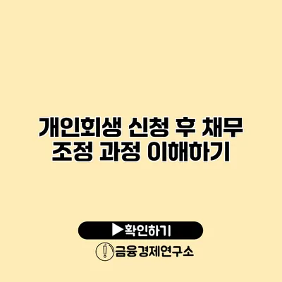 개인회생 신청 후 채무 조정 과정 이해하기