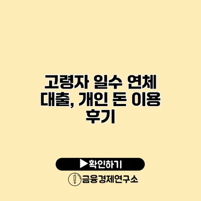 고령자 일수 연체 대출, 개인 돈 이용 후기