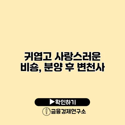 귀엽고 사랑스러운 비숑, 분양 후 변천사