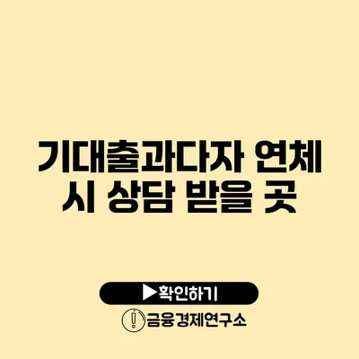 기대출과다자 연체 시 상담 받을 곳