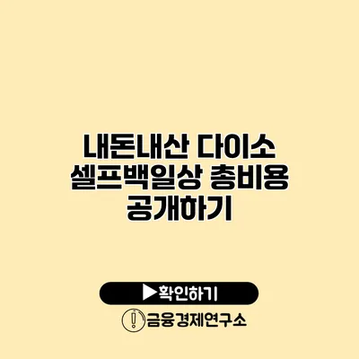 내돈내산 다이소 셀프백일상 총비용 공개하기