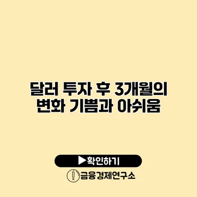 달러 투자 후 3개월의 변화 기쁨과 아쉬움