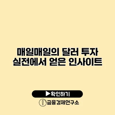 매일매일의 달러 투자 실전에서 얻은 인사이트
