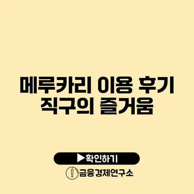 메루카리 이용 후기 직구의 즐거움