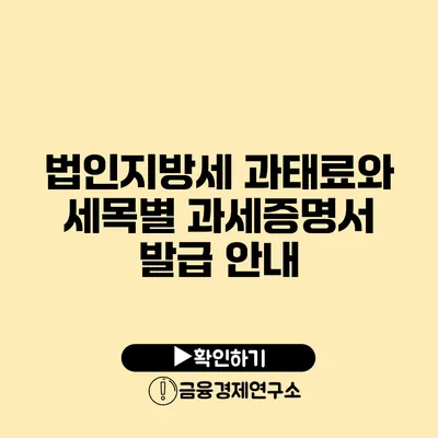 법인지방세 과태료와 세목별 과세증명서 발급 안내