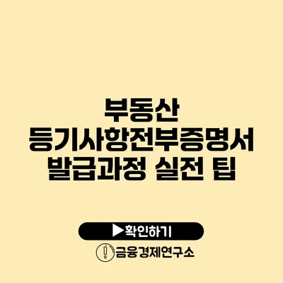 부동산 등기사항전부증명서 발급과정 실전 팁