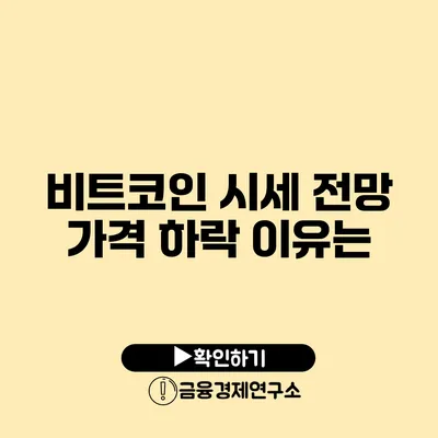 비트코인 시세 전망 가격 하락 이유는?