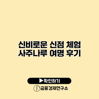 신비로운 신점 체험 사주나루 여명 후기