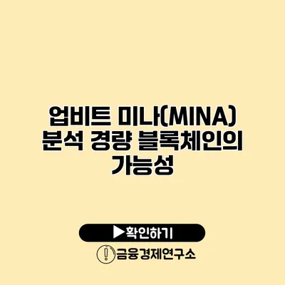업비트 미나(MINA) 분석 경량 블록체인의 가능성