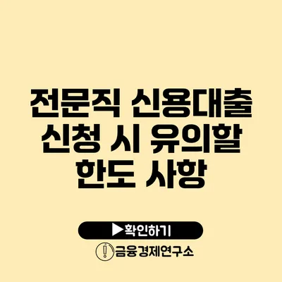 전문직 신용대출 신청 시 유의할 한도 사항