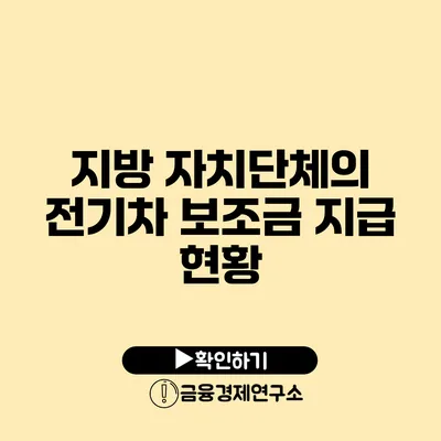 지방 자치단체의 전기차 보조금 지급 현황