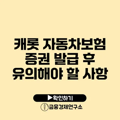 캐롯 자동차보험 증권 발급 후 유의해야 할 사항