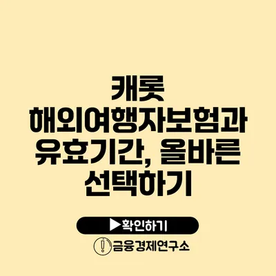 캐롯 해외여행자보험과 유효기간, 올바른 선택하기