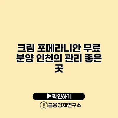 크림 포메라니안 무료 분양 인천의 관리 좋은 곳