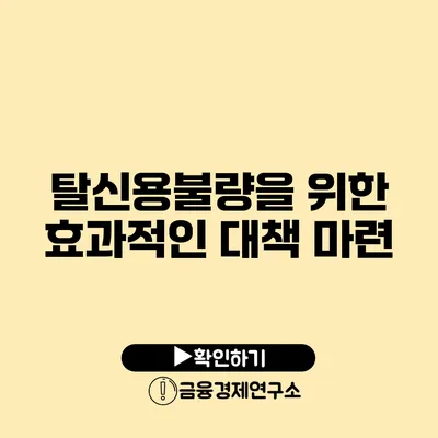 탈신용불량을 위한 효과적인 대책 마련