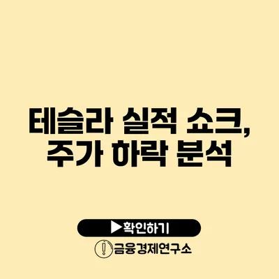 테슬라 실적 쇼크, 주가 하락 분석