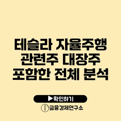 테슬라 자율주행 관련주 대장주 포함한 전체 분석