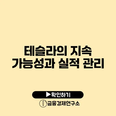 테슬라의 지속 가능성과 실적 관리