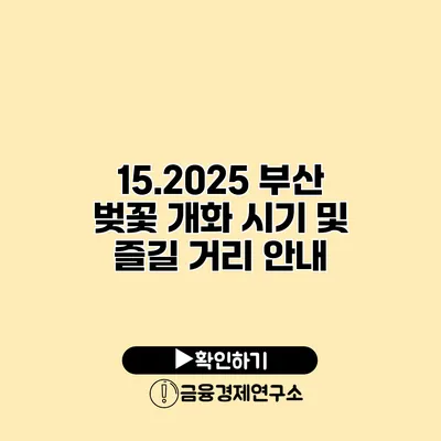 15.2025 부산 벚꽃 개화 시기 및 즐길 거리 안내