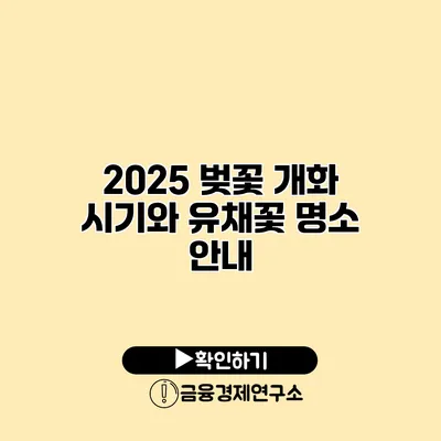 2025 벚꽃 개화 시기와 유채꽃 명소 안내