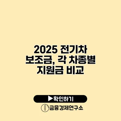 2025 전기차 보조금, 각 차종별 지원금 비교