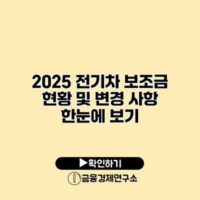 2025 전기차 보조금 현황 및 변경 사항 한눈에 보기
