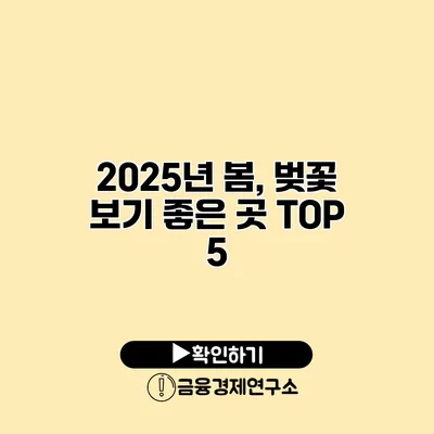 2025년 봄, 벚꽃 보기 좋은 곳 TOP 5