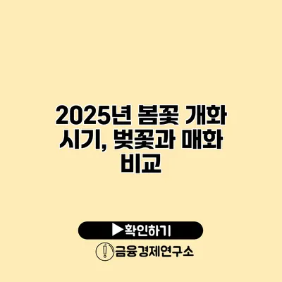 2025년 봄꽃 개화 시기, 벚꽃과 매화 비교