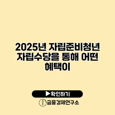 2025년 자립준비청년 자립수당을 통해 어떤 혜택이?