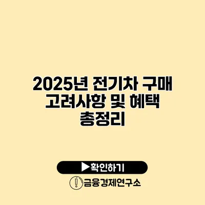 2025년 전기차 구매 고려사항 및 혜택 총정리