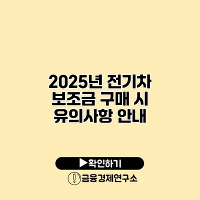 2025년 전기차 보조금 구매 시 유의사항 안내