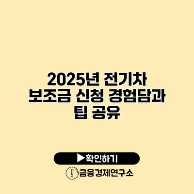 2025년 전기차 보조금 신청 경험담과 팁 공유