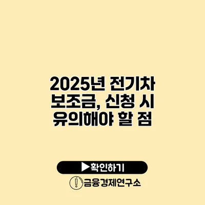 2025년 전기차 보조금, 신청 시 유의해야 할 점