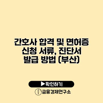 간호사 합격 및 면허증 신청 서류, 진단서 발급 방법 (부산)