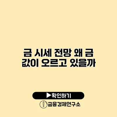금 시세 전망 왜 금 값이 오르고 있을까?