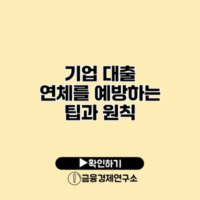 기업 대출 연체를 예방하는 팁과 원칙