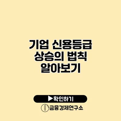 기업 신용등급 상승의 법칙 알아보기