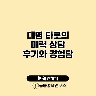 대명 타로의 매력 상담 후기와 경험담