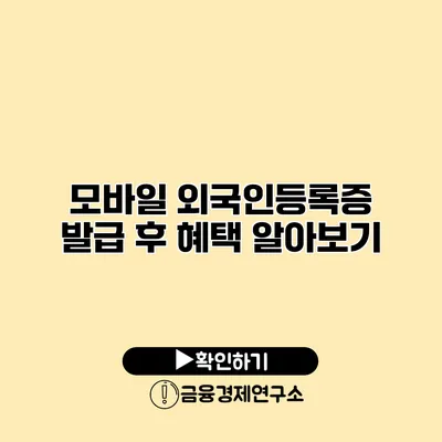 모바일 외국인등록증 발급 후 혜택 알아보기