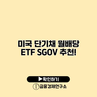 미국 단기채 월배당 ETF SGOV 추천!