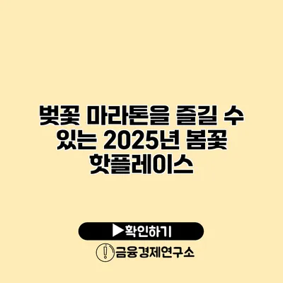 벚꽃 마라톤을 즐길 수 있는 2025년 봄꽃 핫플레이스