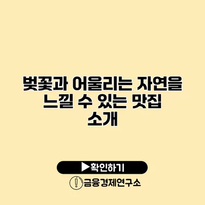 벚꽃과 어울리는 자연을 느낄 수 있는 맛집 소개