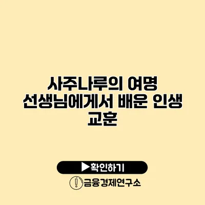 사주나루의 여명 선생님에게서 배운 인생 교훈